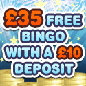 Bingo Cams
