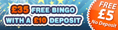 Bingo Cams